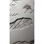 Панно Seperate варинант исполнения - 2 | Loft Concept в Барнауле