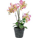 Декоративный искусственное растение Pink orchid варинант исполнения - 5 | Loft Concept в Барнауле