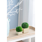 Декоративный искусственное растение Square boxwood варинант исполнения - 5 | Loft Concept в Барнауле