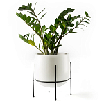 Кашпо из керамики Elevated Planters 32 варинант исполнения - 11 | Loft Concept в Барнауле