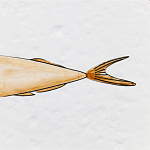 Плитка с узором Рыба Русалка варинант исполнения - 6 | Loft Concept в Барнауле