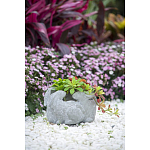 Кашпо A collection of baby rabbits варинант исполнения - 9 | Loft Concept в Барнауле