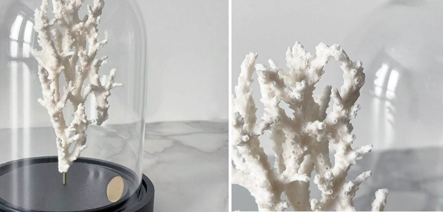 Статуэтка White Coral Glass Cloche Статуэтка White Coral Glass Cloche - Loft-Concept в Барнауле