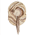 Овальный Современный Гобелен Абстракция в бежевых тонах Shallow варинант исполнения - 7 | Loft Concept в Барнауле