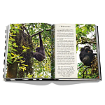 Подарочнный коллекционный фото альбом AFRICAN ADVENTURES NEW 2023 ASSOULINE HC UNBELIEVABLE ILLUSTRATIONS Safari варинант исполнения - 8 | Loft Concept в Барнауле