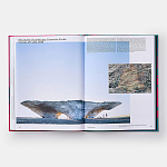 Radical Architecture of the Future варинант исполнения - 4 | Loft Concept в Барнауле