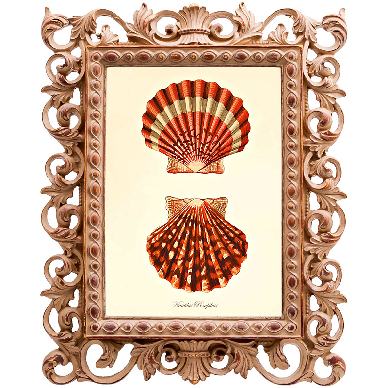 Постер Red Scallop Poster Бежевый Красный в Барнауле | Loft Concept 