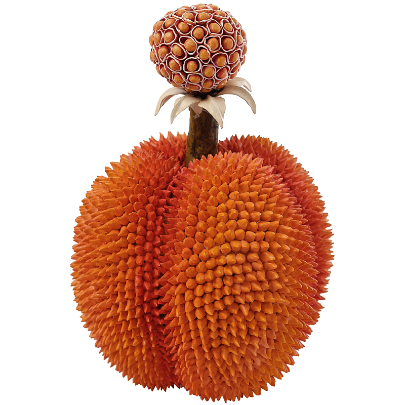 Статуэтка тропический фрукт Tropical Fruit Orange Prickly Berry Оранжевый Статуэтка тропический фрукт Tropical Fruit Orange Prickly Berry Оранжевый в Барнауле | Loft Concept