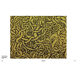 Редкое подарочное издание Yayoi Kusama: 1945 to Now варинант исполнения - 7 | Loft Concept в Барнауле