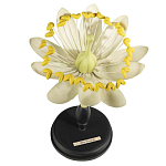 Статуэтка Tilia варинант исполнения - 1 | Loft Concept в Барнауле