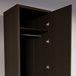 Узкий Шкаф Primo с 2 выдвижными ящиками Темный орех варинант исполнения - 6 | Loft Concept в Барнауле