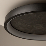 Потолочный светильник Orign 3000К варинант исполнения - 5 | Loft Concept в Барнауле