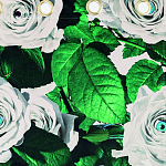 Штора Seletti Roses варинант исполнения - 1 | Loft Concept в Барнауле