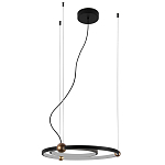 Люстра подвесная светодиодная черный металл Ring Horizontal варинант исполнения - 2 | Loft Concept в Барнауле