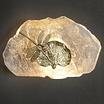 Бра Декоративный лист с стрекозой Glacial Fragment варинант исполнения - 2 | Loft Concept в Барнауле