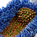 Дизайнерская статуэтка для интерьера Tropical Fruit Pandora 12 варинант исполнения - 3 | Loft Concept в Барнауле