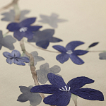 Обои ручная роспись Cherry Tree Original colourway on Stone Ochre dyed silk варинант исполнения - 3 | Loft Concept в Барнауле