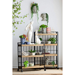 Кашпо Curly baby варинант исполнения - 4 | Loft Concept в Барнауле