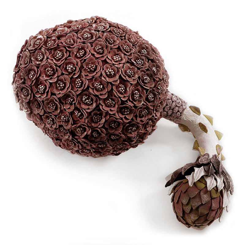 Коричневый фрукт Exotic Fruit Artichoke Brown 42 Коричневый в Барнауле | Loft Concept 