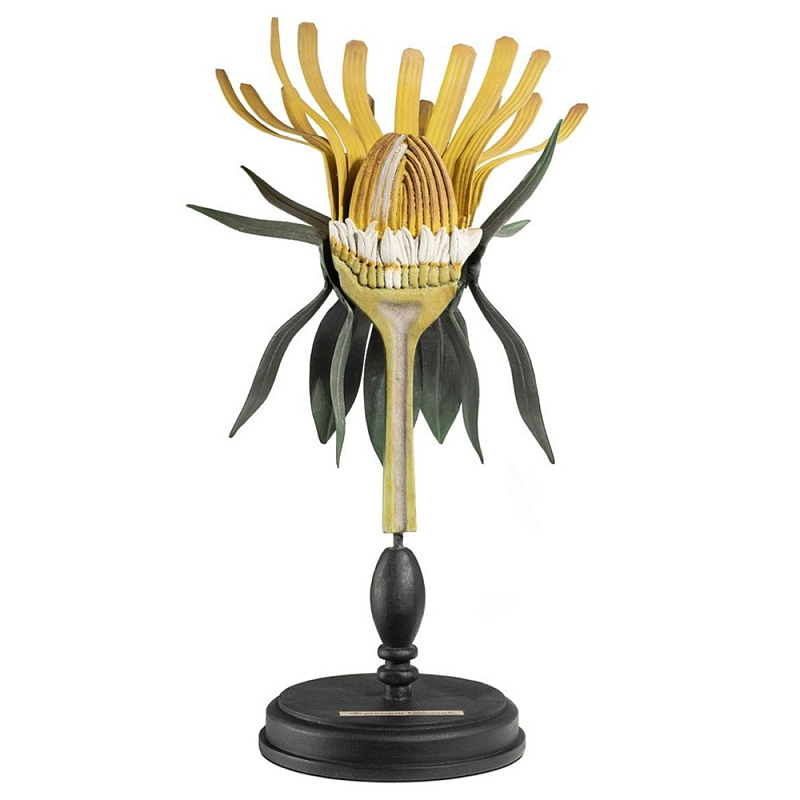 Статуэтка Dandelion Plant Черный Желтый Статуэтка Dandelion Plant Черный Желтый в Барнауле | Loft Concept