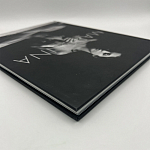 Коллекционная редкая книга Madonna: Nudes + by Martin H.M. Schreiber 2017 Букинистика варинант исполнения - 4 | Loft Concept в Барнауле