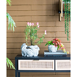 Кашпо A collection of baby rabbits варинант исполнения - 5 | Loft Concept в Барнауле