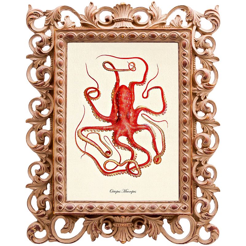 Постер Red Squid Poster Бежевый Красный Постер Red Squid Poster Бежевый Красный в Барнауле | Loft Concept