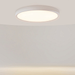 Потолочный светильник Incognito 2700-4000К 46Вт варинант исполнения - 2 | Loft Concept в Барнауле