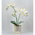 Декоративный искусственное растение Lush Orchid варинант исполнения - 2 | Loft Concept в Барнауле