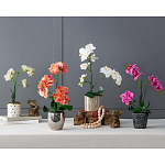 Декоративный искусственное растение Pink orchid варинант исполнения - 11 | Loft Concept в Барнауле