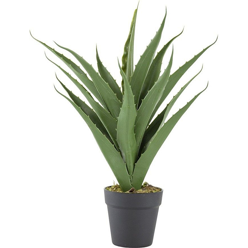 Декоративный искусственное растение Medium Aloe Зеленый Черный Декоративный искусственное растение Medium Aloe Зеленый Черный в Барнауле | Loft Concept
