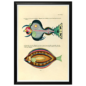 Постер в черной раме Fish Guide 27