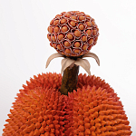 Статуэтка тропический фрукт Tropical Fruit Orange Prickly Berry варинант исполнения - 2 | Loft Concept в Барнауле