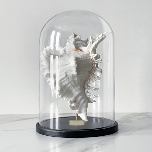 Статуэтка Murex Ramosus Glass Cloche XL