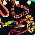 Штора Seletti Snakes Black варинант исполнения - 1 | Loft Concept в Барнауле