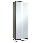 Двухдверный шкаф с зеркальными дверцами Strict Lines варинант исполнения - 1 | Loft Concept в Барнауле