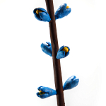 Синий экзотический фрукт статуэтка для интерьераTropical Fruit Pandora 9 варинант исполнения - 2 | Loft Concept в Барнауле