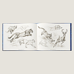 Лимитированная подарочная книга HERMES Fierce and Fragile book, English version варинант исполнения - 4 | Loft Concept в Барнауле