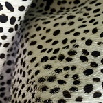 Мебельная ткань Искусственный мех  белый леопард 90 см T5-3 варинант исполнения - 4 | Loft Concept в Барнауле