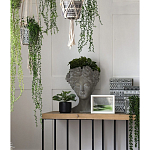 Кашпо Wonder Woman варинант исполнения - 4 | Loft Concept в Барнауле