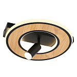 Потолочный светильник круглый GAVIN WOOD варинант исполнения - 1 | Loft Concept в Барнауле