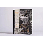 Книга Fantastic Gustave Dore варинант исполнения - 3 | Loft Concept в Барнауле