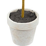 Декоративный искусственное растение Boxwood One варинант исполнения - 3 | Loft Concept в Барнауле