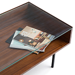 Журнальный стол с витриной Alard Coffee Table варинант исполнения - 4 | Loft Concept в Барнауле