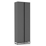 Двухдверный шкаф цвета графит Strict Lines варинант исполнения - 1 | Loft Concept в Барнауле