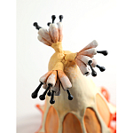 Статуэтка тропический фрукт Pandora Tropical Fruit Orange варинант исполнения - 3 | Loft Concept в Барнауле