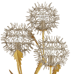 Торшер в виде цветка одуванчика Hanging Dandelion варинант исполнения - 1 | Loft Concept в Барнауле