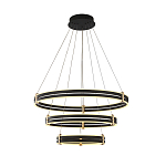 Люстра светодиодная с 3-мя плафонами в форме колец из акрила и алюминия с пультом для регулировки света Ring Horizontal Anthracite варинант исполнения - 7 | Loft Concept в Барнауле