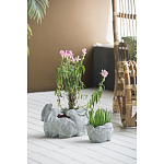 Кашпо A collection of baby rabbits варинант исполнения - 4 | Loft Concept в Барнауле