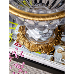 Чаша из прозрачного стекла с бронзовой подставкой и ручками Eden Garden варинант исполнения - 4 | Loft Concept в Барнауле